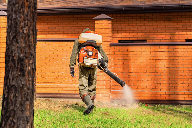 Trusted Rodent Control service in Purdy, MO - Nex Pest Control